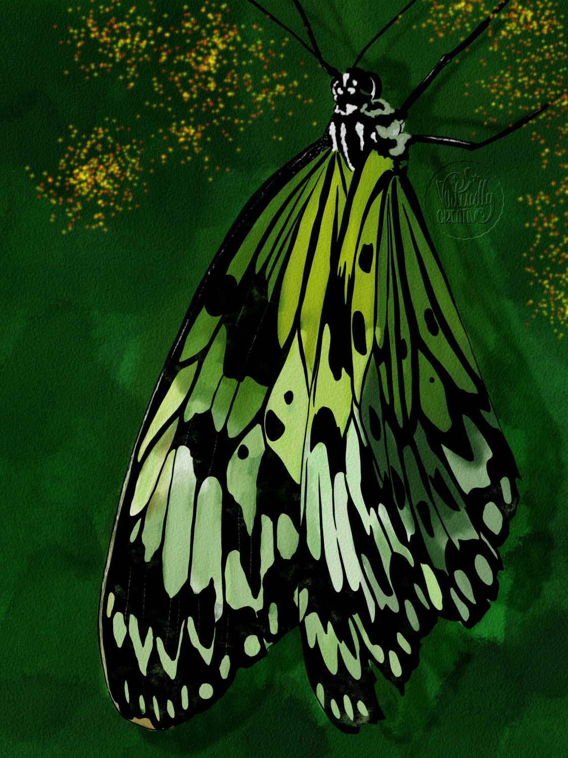 Green Butterfly