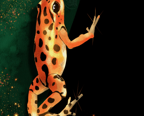 Spotted Orange