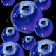 Blueberries