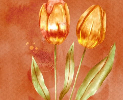 Tulips